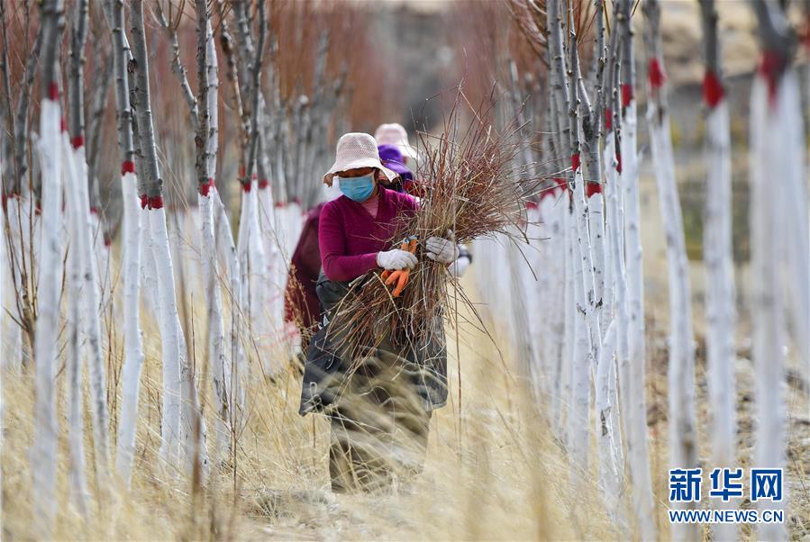 (新華全媒頭條·圖文互動(dòng))(14)三江之源見證中國(guó)奇跡——寫在玉樹地震10周年之際