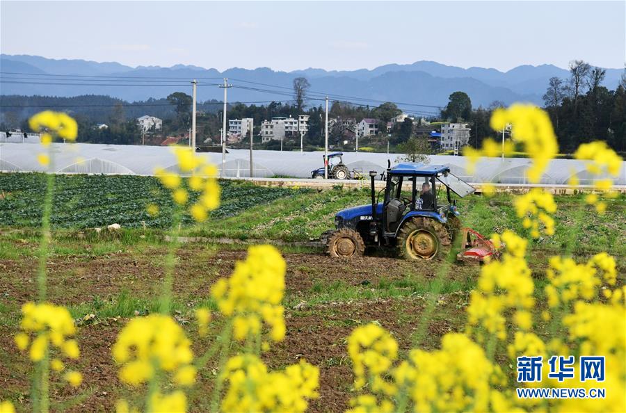 （決戰(zhàn)決勝脫貧攻堅(jiān)&middot;圖文互動）（3）貴州黔東南：搶抓壩區(qū)春耕 決勝脫貧攻堅(jiān)