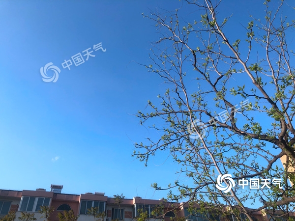 陣風8級！北京遭遇雨后大降溫 北風勁吹需添衣