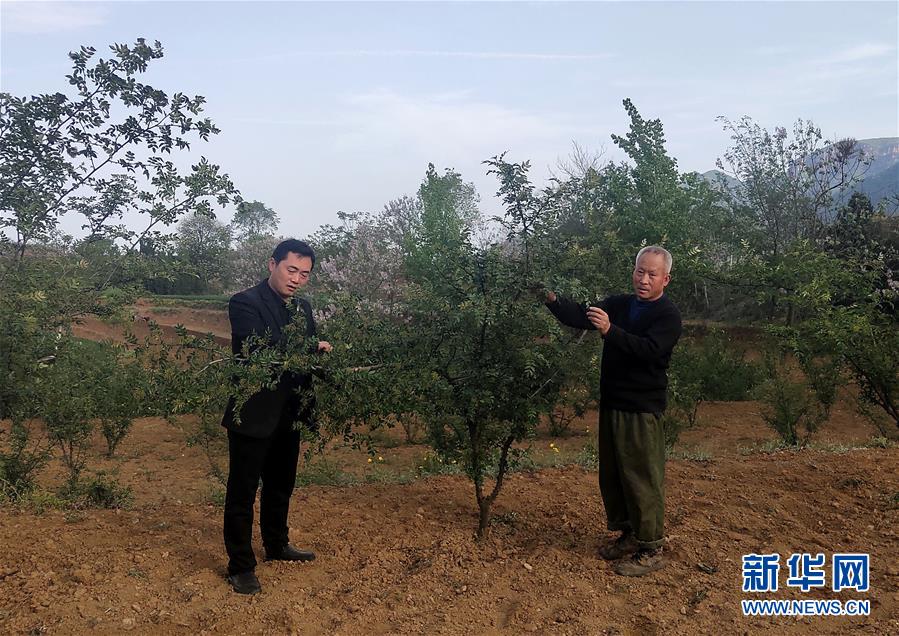 （新華全媒頭條&middot;圖文互動）（6）春天里的5個&ldquo;戰(zhàn)貧&rdquo;瞬間&mdash;&mdash;習近平總書記關于脫貧攻堅決策部署指引攻克最后的深貧堡壘