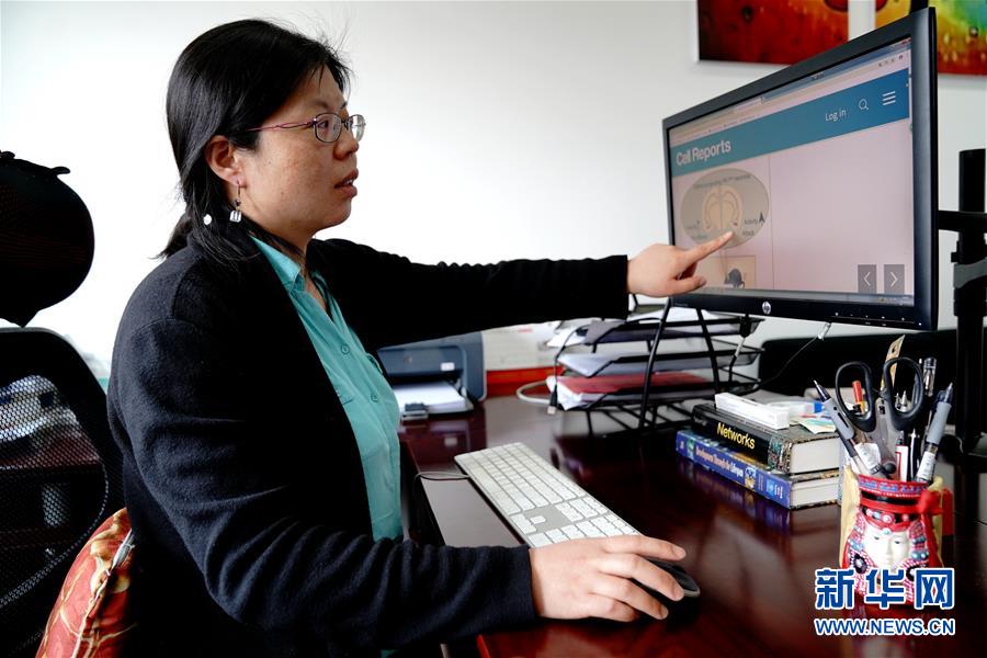 （圖文互動）（1）攻擊行為如何被大腦控制？科學(xué)家在小鼠大腦中發(fā)現(xiàn)&ldquo;調(diào)節(jié)開關(guān)&rdquo;