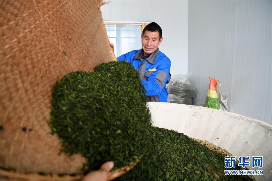 (新華全媒頭條·圖文互動(dòng))(5)紅土地上的“綠色減貧”決戰(zhàn)——大別山“將軍縣”金寨脫貧紀(jì)實(shí)