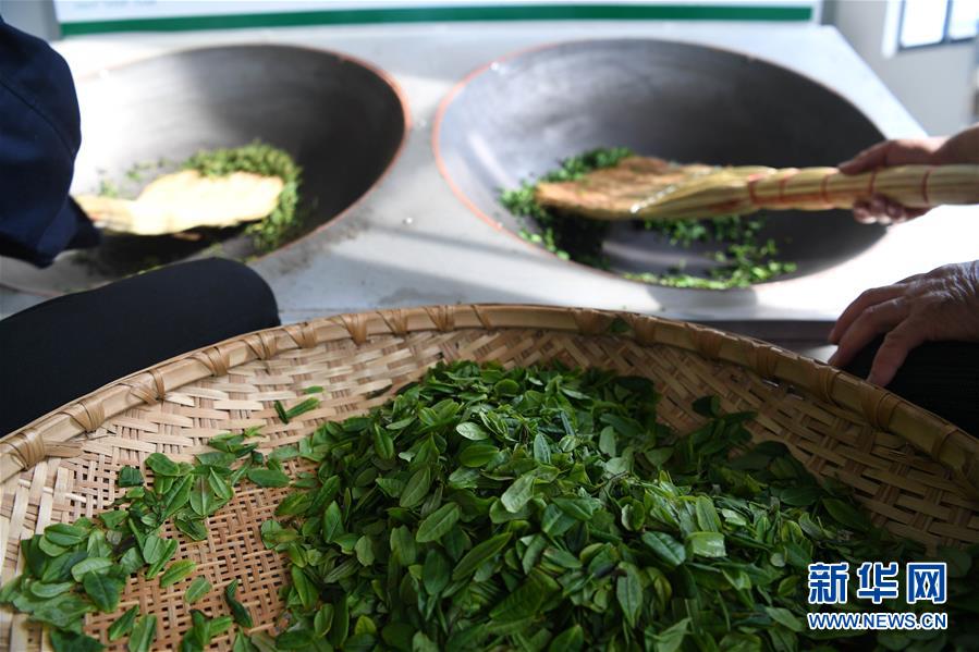 (新華全媒頭條·圖文互動(dòng))(9)紅土地上的“綠色減貧”決戰(zhàn)——大別山“將軍縣”金寨脫貧紀(jì)實(shí)