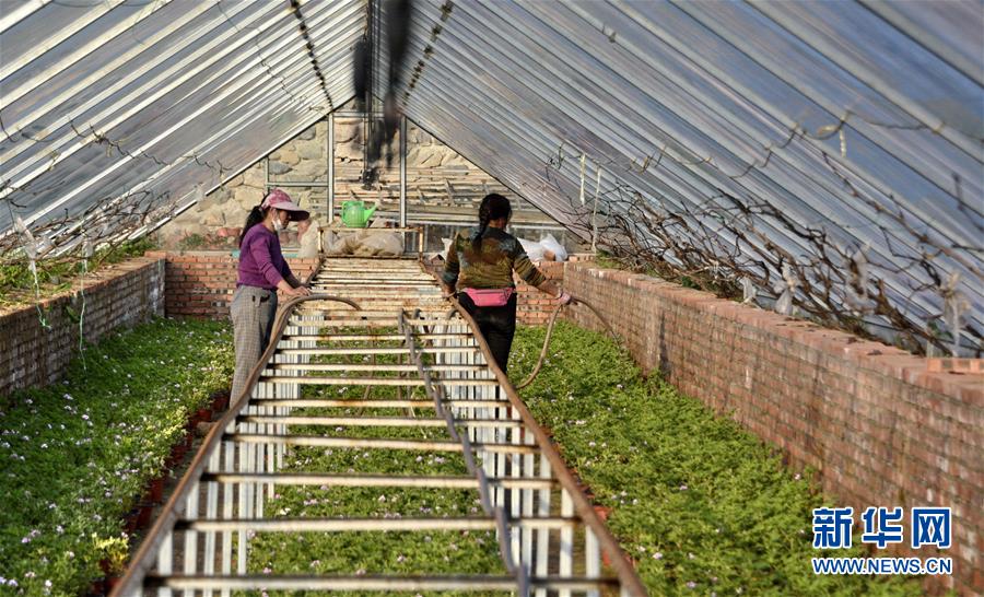 （圖文互動）（2）這座小城，鐫刻下怎樣的&ldquo;世園印記&rdquo;&mdash;&mdash;北京世園會開園一周年探訪延慶