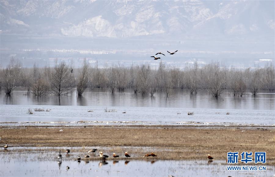 （圖文互動）（3）這座小城，鐫刻下怎樣的&ldquo;世園印記&rdquo;&mdash;&mdash;北京世園會開園一周年探訪延慶
