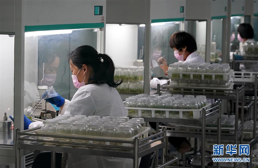 （來(lái)自一線的調(diào)查報(bào)告&middot;圖文互動(dòng)）（6）搶出一個(gè)身位謀發(fā)展&mdash;&mdash;河南許昌經(jīng)濟(jì)復(fù)蘇見聞