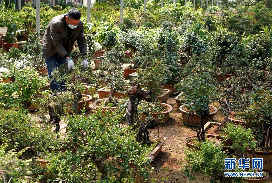 （來(lái)自一線的調(diào)查報(bào)告&middot;圖文互動(dòng)）（7）搶出一個(gè)身位謀發(fā)展&mdash;&mdash;河南許昌經(jīng)濟(jì)復(fù)蘇見聞