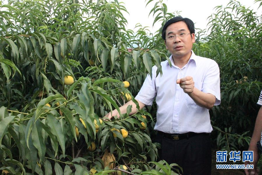 （圖文互動）（2）&ldquo;為脫貧而來，為脫貧而去&rdquo;&mdash;&mdash;追記湖南炎陵縣委原書記黃詩燕 