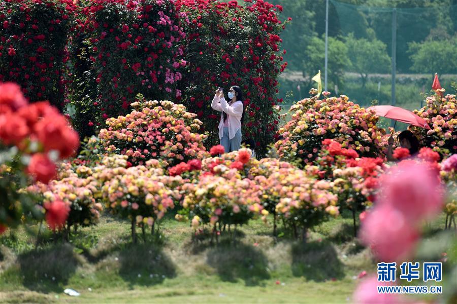 #(社會(huì))(11)樂(lè)享“五一”假期