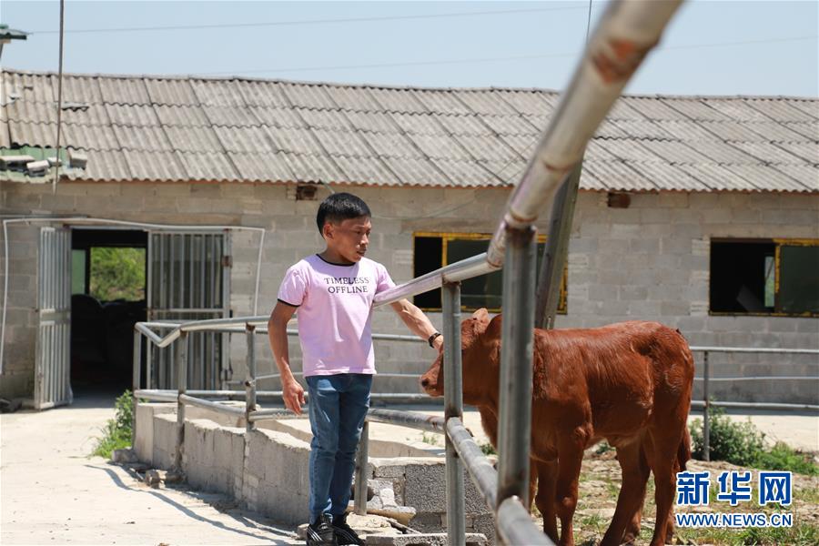 （新華全媒頭條&middot;圖文互動(dòng)）（8）刺梨花開(kāi)滿山紅&mdash;&mdash;記在貴州脫貧攻堅(jiān)一線奮斗的殘疾人