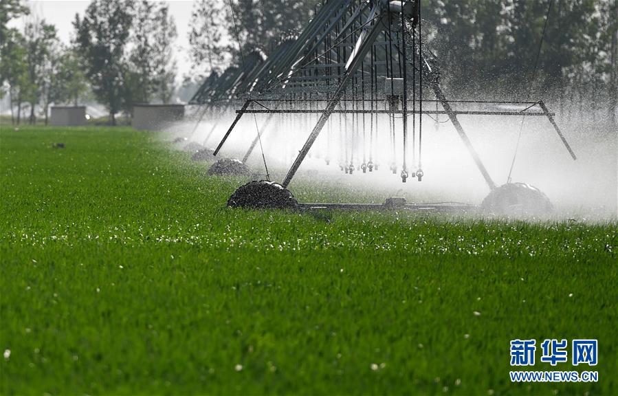 （在習(xí)近平新時(shí)代中國(guó)特色社會(huì)主義思想指引下&mdash;&mdash;新時(shí)代新作為新篇章&middot;習(xí)近平總書記關(guān)切事&middot;圖文互動(dòng)）（3）新農(nóng)事、新希望&mdash;&mdash;夏收前田間新動(dòng)態(tài)掃描