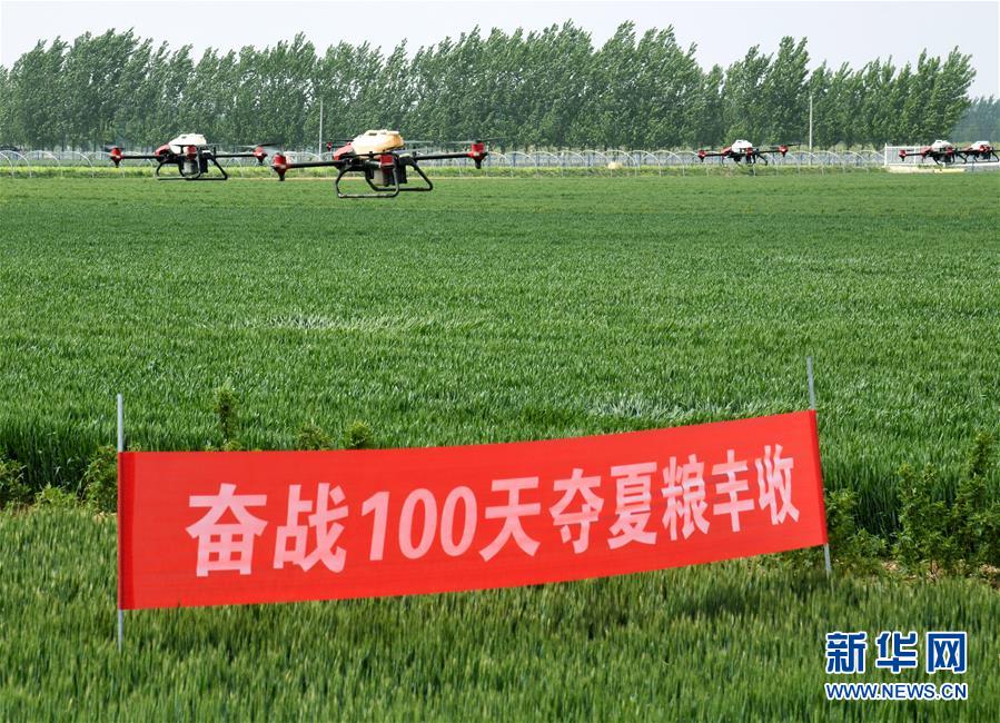 （在習(xí)近平新時(shí)代中國(guó)特色社會(huì)主義思想指引下&mdash;&mdash;新時(shí)代新作為新篇章&middot;習(xí)近平總書記關(guān)切事&middot;圖文互動(dòng)）（9）新農(nóng)事、新希望&mdash;&mdash;夏收前田間新動(dòng)態(tài)掃描