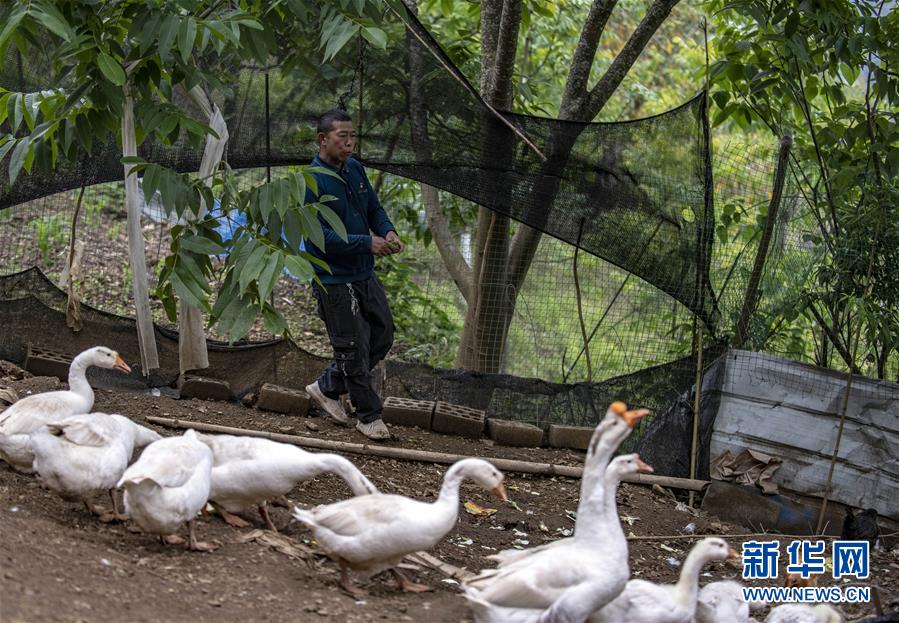 (新華全媒頭條·兩會精神看落實·圖文互動)(8)培育新機 開辟新局——落實全國兩會精神激發(fā)經(jīng)濟發(fā)展新動能述評