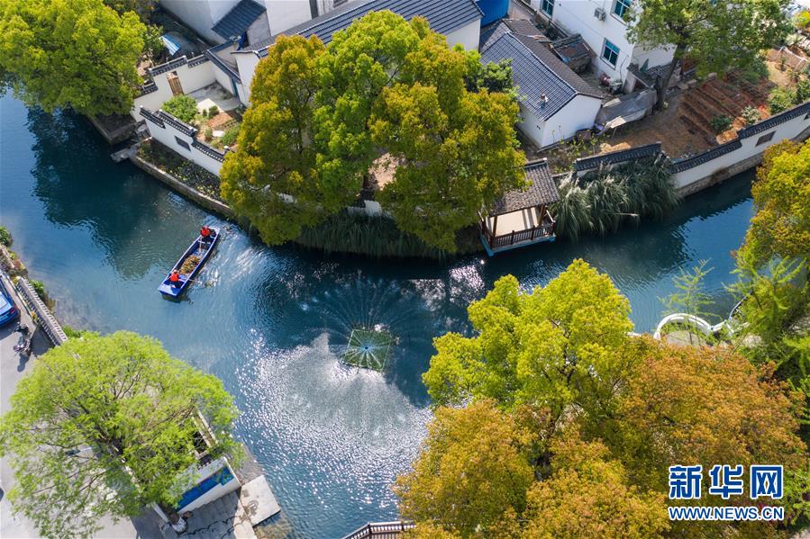 (新華全媒頭條·圖文互動)(6)從“藍圖規(guī)劃”到美麗“現(xiàn)實畫卷”——長三角一體化高質(zhì)量發(fā)展一年間