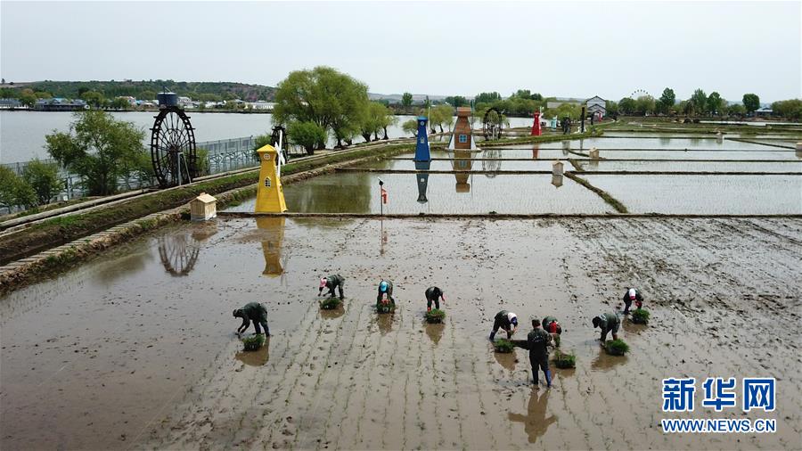 （在習(xí)近平新時代中國特色社會主義思想指引下&mdash;&mdash;新時代新作為新篇章&middot;習(xí)近平總書記關(guān)切事&middot;圖文互動）（6）讓農(nóng)民挑上&ldquo;金扁擔(dān)&rdquo;&mdash;&mdash;農(nóng)業(yè)現(xiàn)代化的生動實(shí)踐掃描