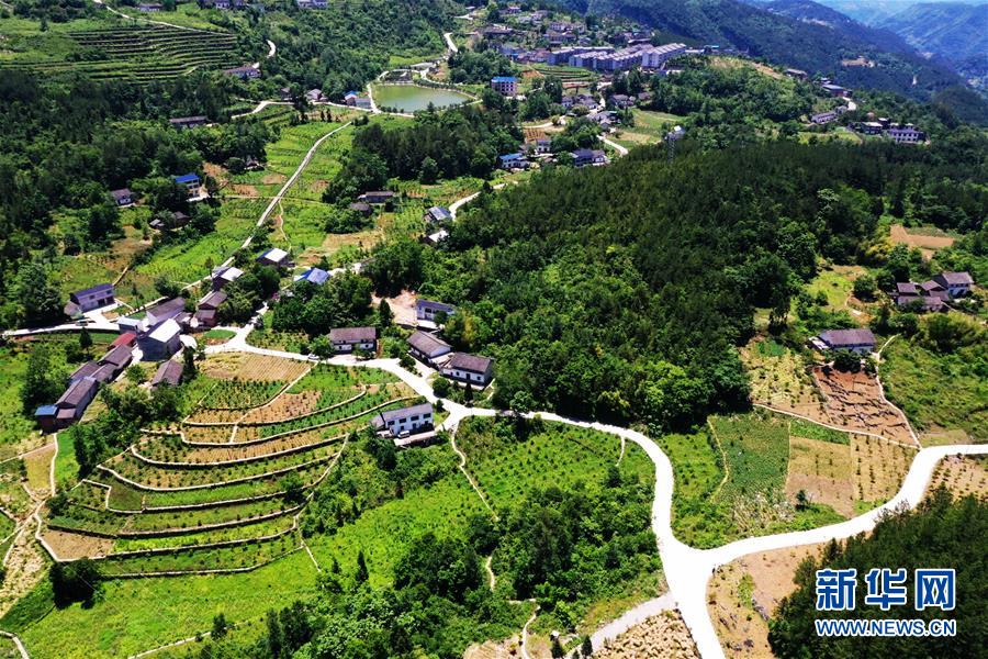 (新華全媒頭條·圖文互動(dòng))(11)待到滿(mǎn)山紅葉時(shí)——三峽重慶庫(kù)區(qū)踐行新發(fā)展理念面面觀(guān)