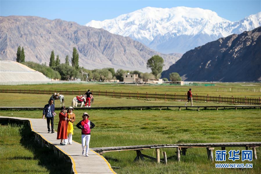 （新華全媒頭條&middot;圖文互動）（15）飛吧，&ldquo;帕米爾雄鷹&rdquo;！