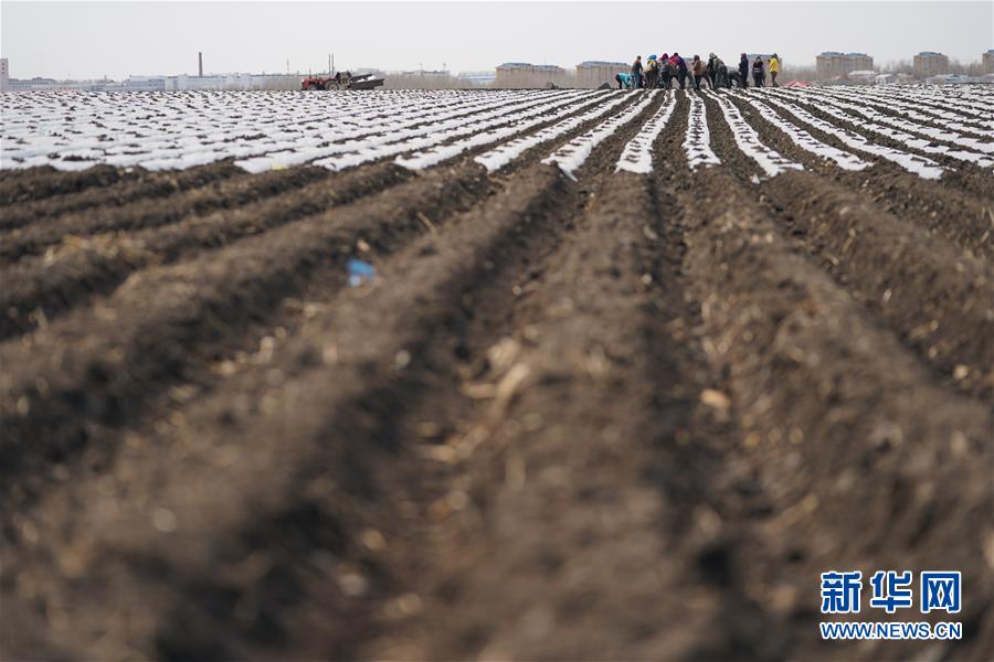 (在習近平新時代中國特色社會主義思想指引下——新時代新作為新篇章·習近平總書記關(guān)切事·圖文互動)(3)讓每一寸耕地都成為豐收的沃土——我國加強耕地保護推進“藏糧于地”