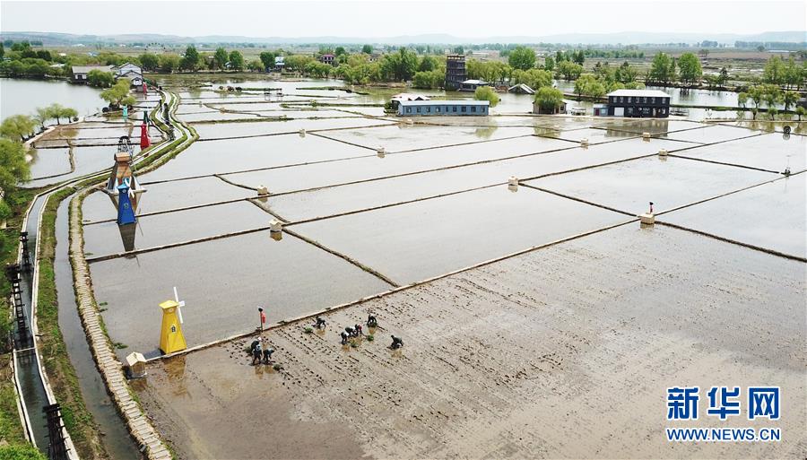 (在習近平新時代中國特色社會主義思想指引下——新時代新作為新篇章·習近平總書記關(guān)切事·圖文互動)(1)讓每一寸耕地都成為豐收的沃土——我國加強耕地保護推進“藏糧于地”