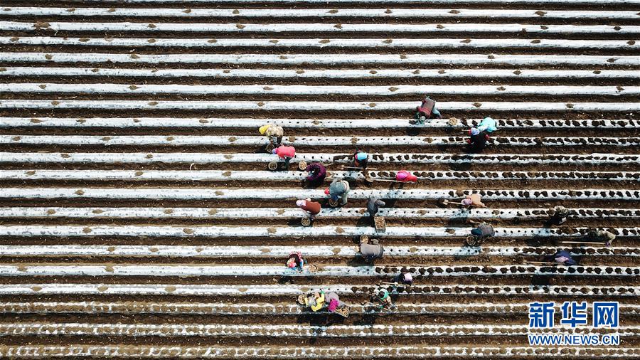 (在習(xí)近平新時(shí)代中國(guó)特色社會(huì)主義思想指引下——新時(shí)代新作為新篇章·習(xí)近平總書記關(guān)切事·圖文互動(dòng))(2)讓每一寸耕地都成為豐收的沃土——我國(guó)加強(qiáng)耕地保護(hù)推進(jìn)“藏糧于地”