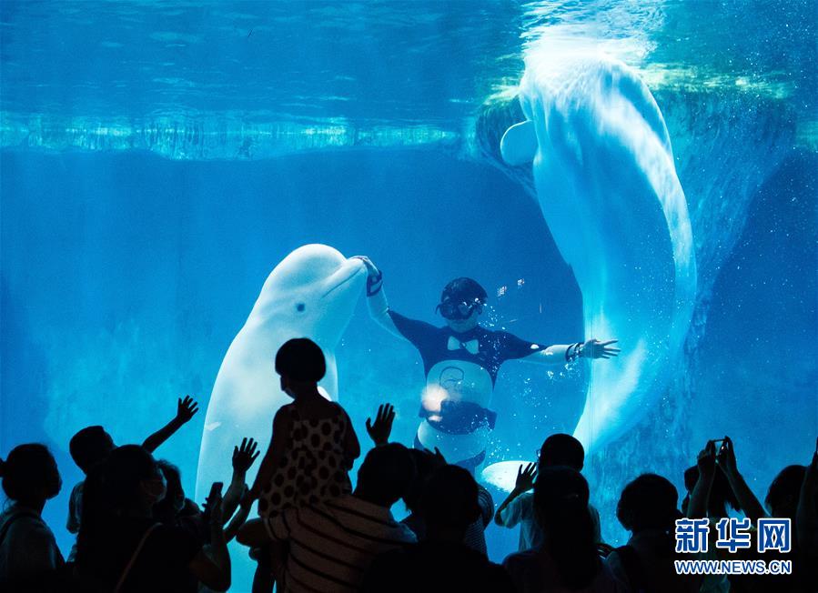 (社會(huì))(1)樂(lè)享端午假期