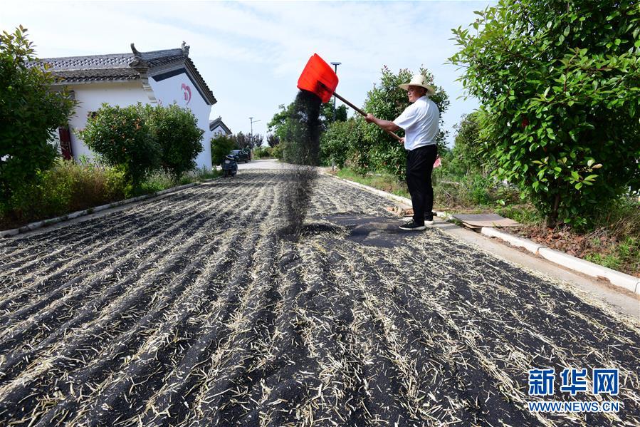 (決戰(zhàn)決勝脫貧攻堅(jiān)·圖文互動(dòng))(1)貧困戶老楊的人生“三級(jí)跳”