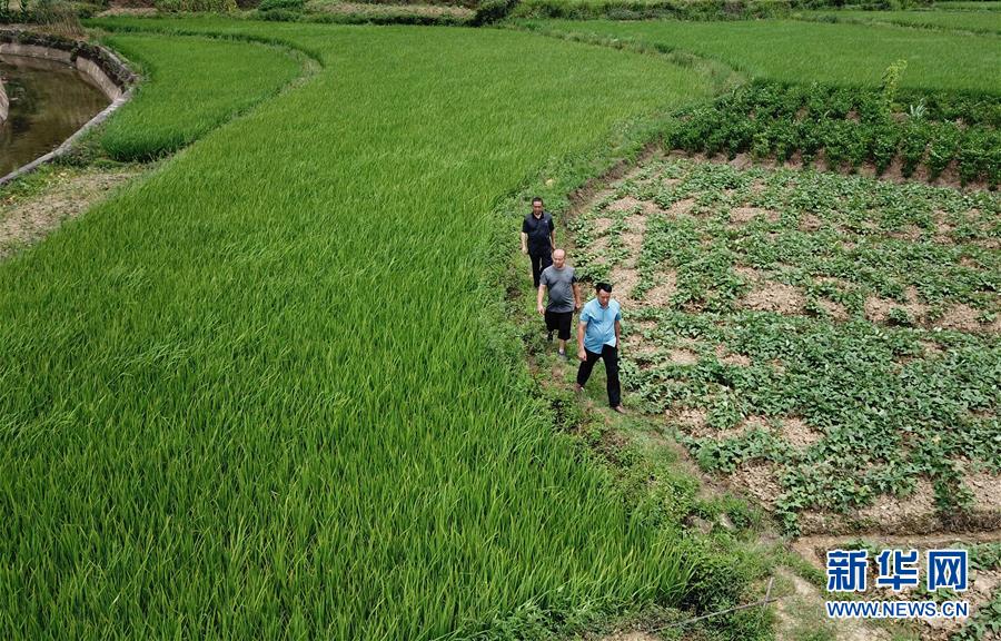 （圖文互動(dòng)）（6）湘南深山，堅(jiān)守扶貧一線的黨員之家