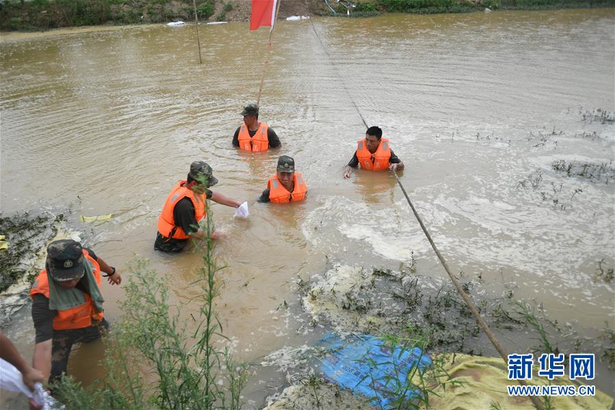 （防汛抗洪&middot;圖文互動(dòng)）（1）&ldquo;大堤上有了&lsquo;導(dǎo)彈綠&rsquo;，我們老百姓安了心&rdquo;