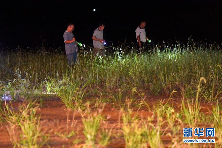 （防汛抗洪&middot;圖文互動）（2）&ldquo;保衛(wèi)家園，誰都不能是旁觀者&rdquo;&mdash;&mdash;夜訪洞庭湖大堤防汛一線