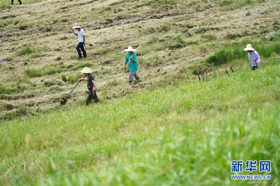 （防汛抗洪&middot;圖文互動(dòng)）（4）特寫：康山大堤上的脫貧&ldquo;守堤人&rdquo;