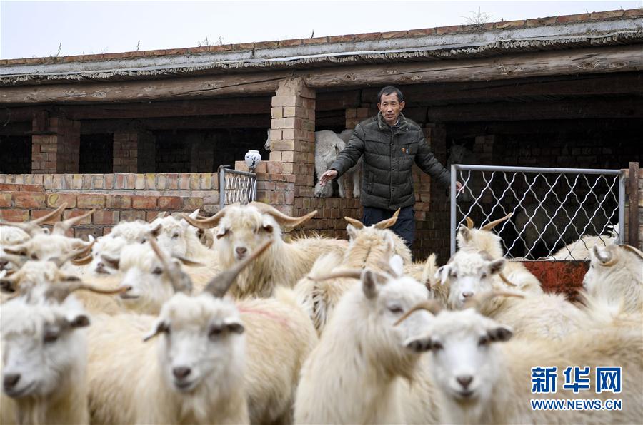 （走向我們的小康生活&middot;圖文互動(dòng)）（6）西海固換了新模樣