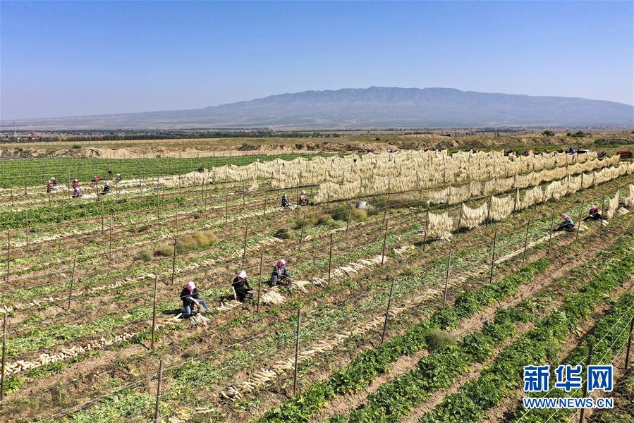 (新華全媒頭條·走向我們的小康生活·圖文互動)(8)23萬人的命運轉(zhuǎn)折——我國最大易地生態(tài)移民安置區(qū)的脫貧密碼