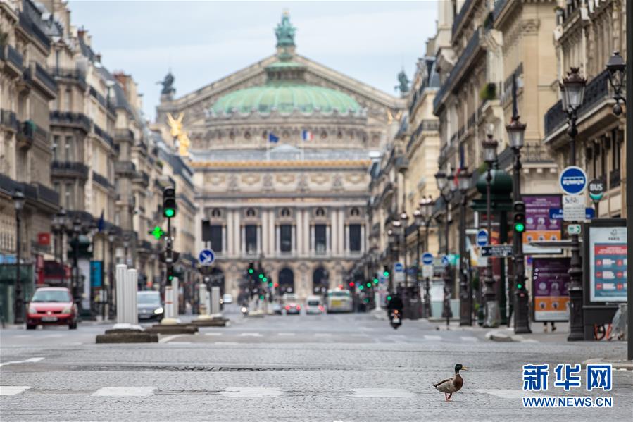 (國際·圖文互動)(4)特稿:穿越寒暑 無問西東——寫在新冠疫情構(gòu)成“國際關(guān)注的突發(fā)公共衛(wèi)生事件”半年之際
