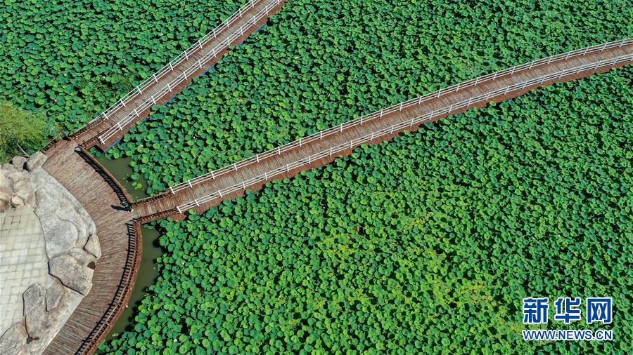 （在習(xí)近平新時(shí)代中國特色社會(huì)主義思想指引下&mdash;&mdash;新時(shí)代新作為新篇章&middot;習(xí)近平總書記關(guān)切事&middot;圖文互動(dòng)）（9）綠色映底蘊(yùn)，山水見初心&mdash;&mdash;生態(tài)優(yōu)先、綠色發(fā)展持續(xù)造福群眾美好生活
