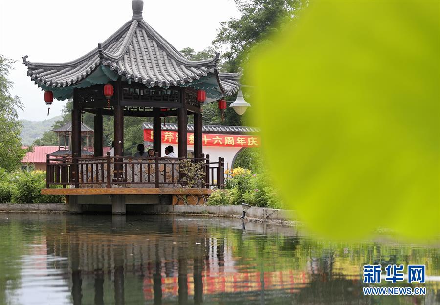 (走向我們的小康生活·圖文互動(dòng))(3)從“遼寧藍(lán)”到“花果山”——遼寧推進(jìn)生態(tài)文明建設(shè)剪影