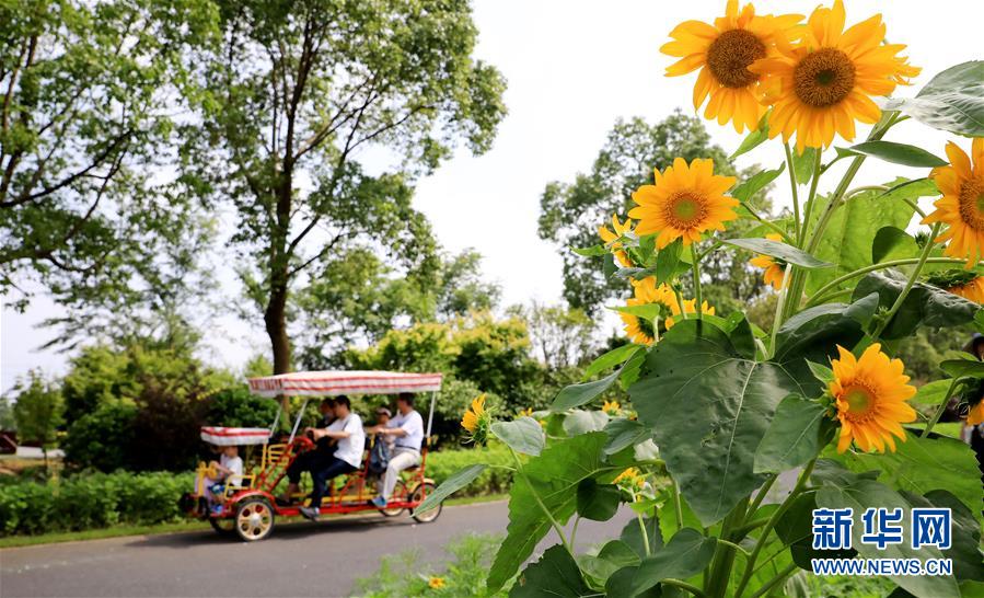 （新華全媒頭條&middot;走向我們的小康生活&middot;圖文互動）（13）城市，讓人民生活更美好