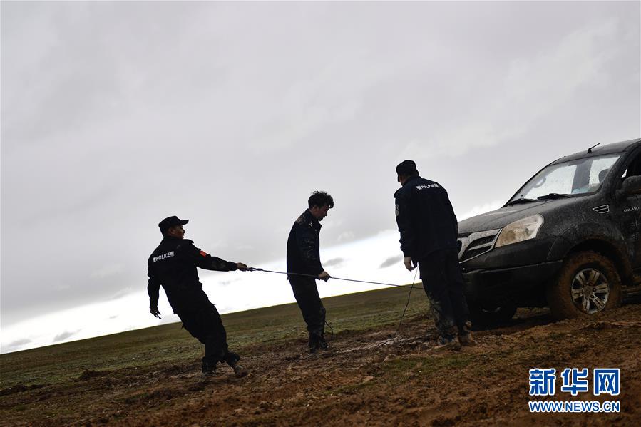 （圖文互動）（10）記者手記：可可西里，&ldquo;挪&rdquo;向&ldquo;藏羚羊大產(chǎn)房&rdquo;的14個半小時