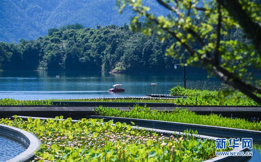 （新華全媒頭條&middot;圖文互動(dòng)）（8）生態(tài)文明之光照耀美麗中國&mdash;&mdash;寫在綠水青山就是金山銀山理念提出15周年之際