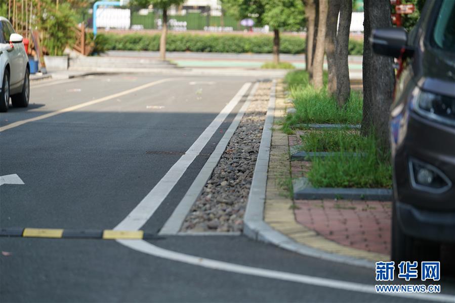 （圖文互動）（2）&ldquo;綠灰白&rdquo;破解城市內(nèi)澇之&ldquo;囧&rdquo;