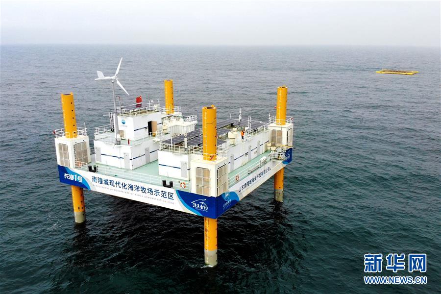 (圖文互動)(1)把“試驗田”種成“高產(chǎn)田”——記中國(山東)自由貿(mào)易試驗區(qū)設立一周年