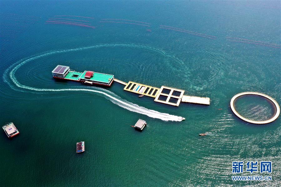 (圖文互動)(2)把“試驗田”種成“高產(chǎn)田”——記中國(山東)自由貿(mào)易試驗區(qū)設立一周年