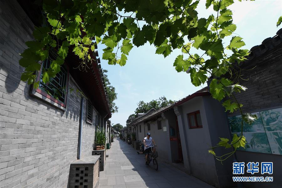 （走向我們的小康生活&middot;圖文互動）（1）小橋、流水、書香、人家&mdash;&mdash;老北京胡同里的恬靜棲居
