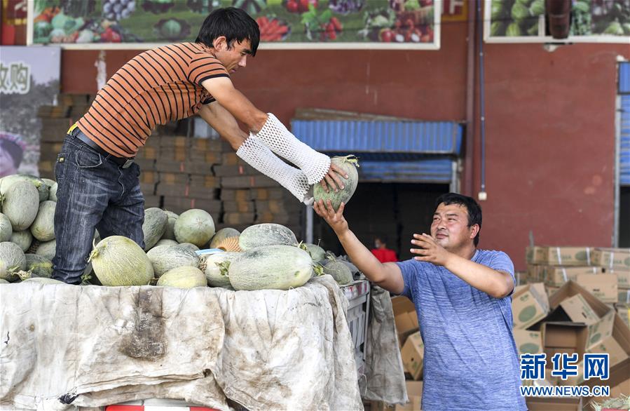 (決戰(zhàn)決勝脫貧攻堅(jiān)·圖文互動(dòng))(2)“窮”鄉(xiāng)富戶的販瓜生意經(jīng)