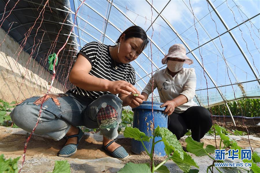 （新華全媒頭條&middot;走向我們的小康生活&middot;圖文互動(dòng)）（5）&ldquo;苦甲&rdquo;不再，&ldquo;甘味&rdquo;綿長&mdash;&mdash;脫貧攻堅(jiān)的甘肅味道