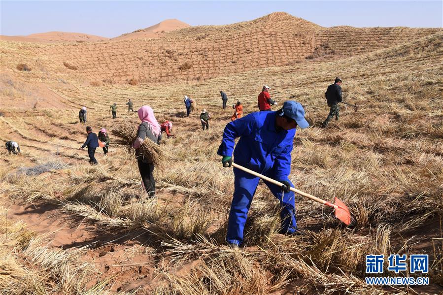 （新華全媒頭條&middot;走向我們的小康生活&middot;圖文互動(dòng)）（6）&ldquo;苦甲&rdquo;不再，&ldquo;甘味&rdquo;綿長&mdash;&mdash;脫貧攻堅(jiān)的甘肅味道