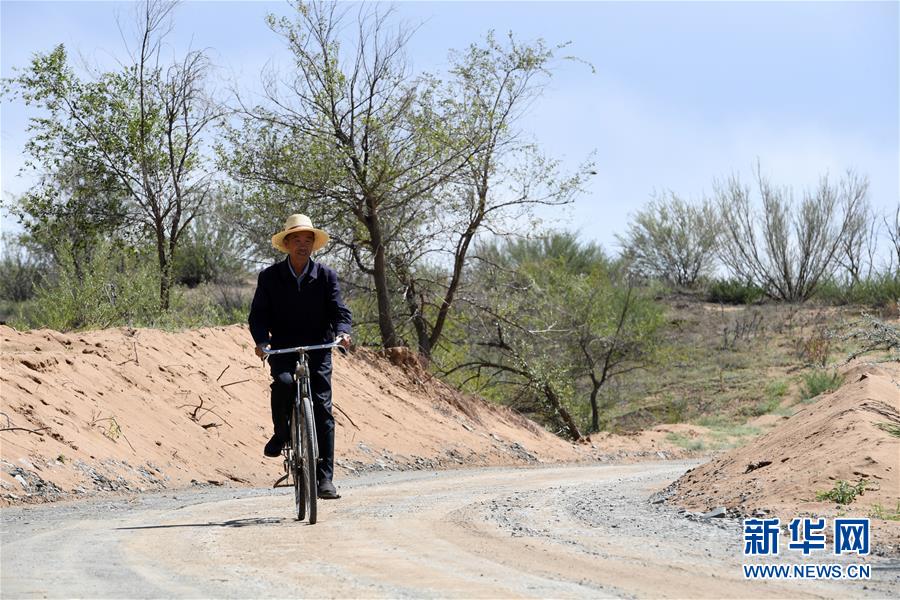 （新華全媒頭條&middot;走向我們的小康生活&middot;圖文互動(dòng)）（7）&ldquo;苦甲&rdquo;不再，&ldquo;甘味&rdquo;綿長&mdash;&mdash;脫貧攻堅(jiān)的甘肅味道