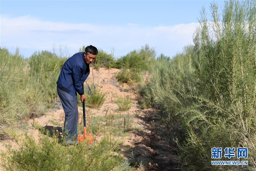 （新華全媒頭條&middot;走向我們的小康生活&middot;圖文互動(dòng)）（8）&ldquo;苦甲&rdquo;不再，&ldquo;甘味&rdquo;綿長&mdash;&mdash;脫貧攻堅(jiān)的甘肅味道