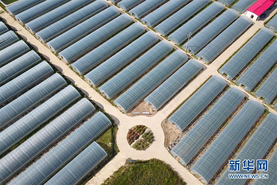 （新華全媒頭條&middot;走向我們的小康生活&middot;圖文互動(dòng)）（11）&ldquo;苦甲&rdquo;不再，&ldquo;甘味&rdquo;綿長&mdash;&mdash;脫貧攻堅(jiān)的甘肅味道