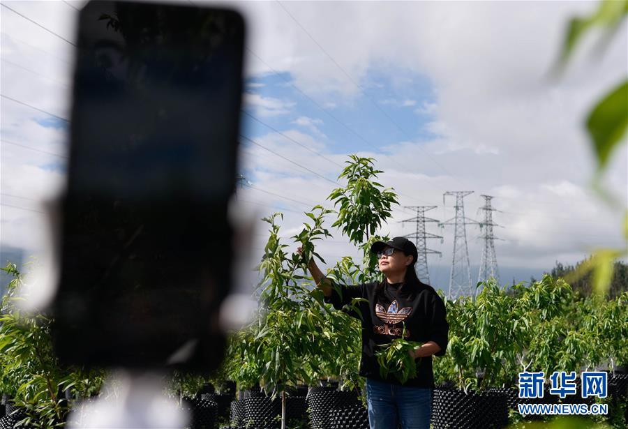 (決戰(zhàn)決勝脫貧攻堅·督戰(zhàn)未摘帽貧困縣·圖文互動)(4)12000多個“火種”點亮大涼山