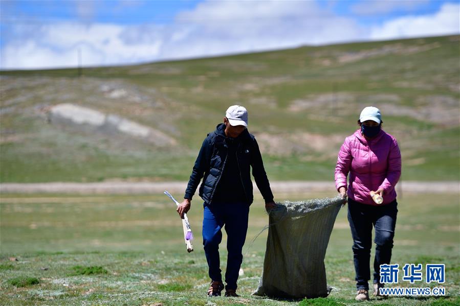 (新華全媒頭條·走向我們的小康生活·圖文互動(dòng))(5)綠色繪就三江源——來(lái)自青海脫貧奔小康一線的蹲點(diǎn)報(bào)告